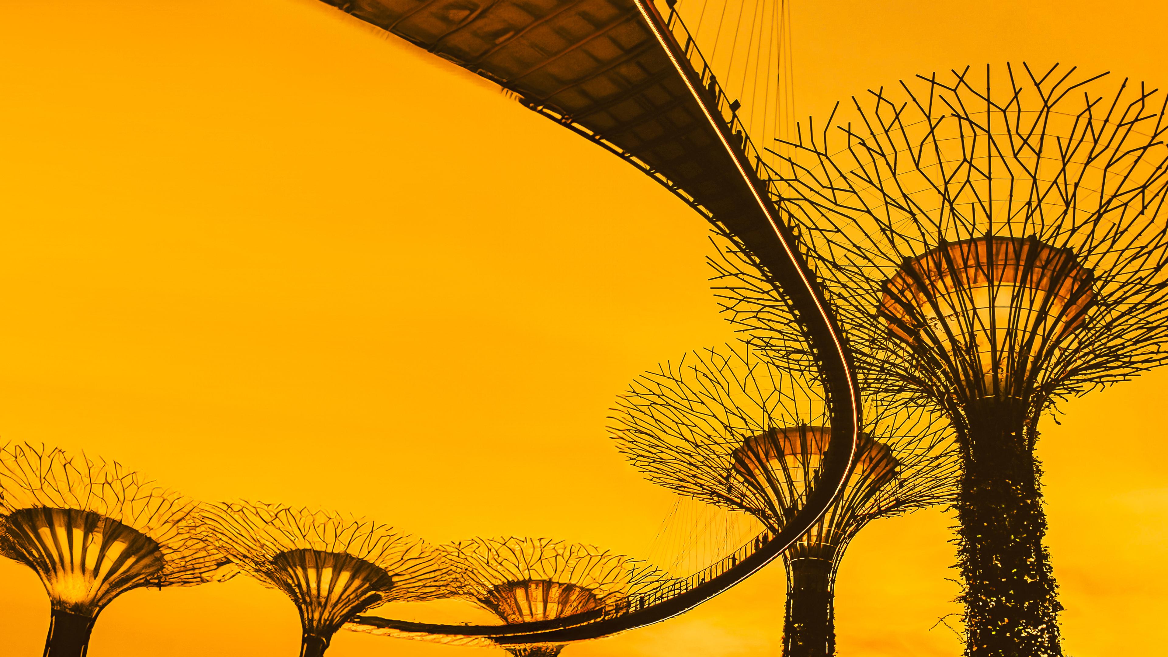 A view from below of the Supertrees at Gardens by the Bay in Singapore